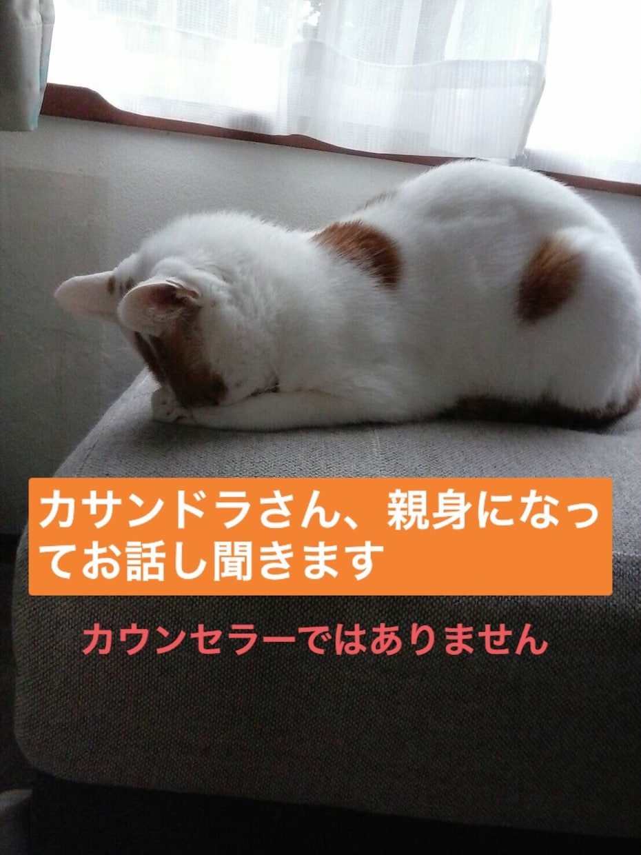 カサンドラさん、チャットでお話3時間聞きます 孤独を感じてるあなた、あなたは独りじゃありません。 イメージ1