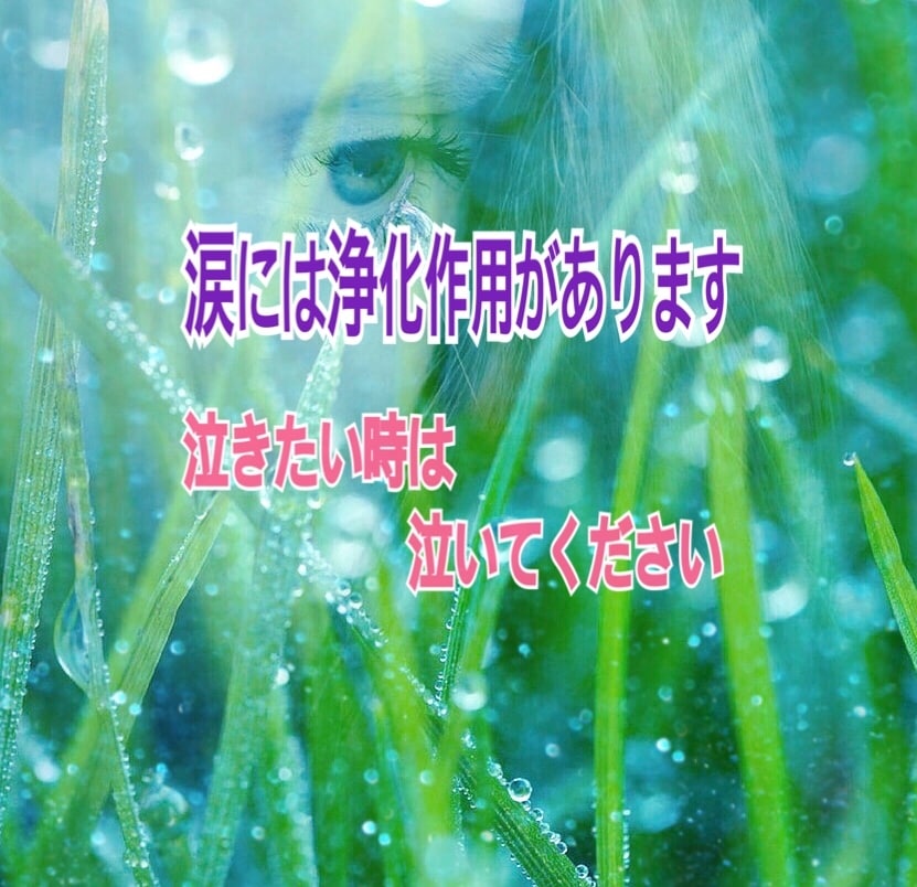 毒親育ちの『生き辛さ』私はあなたの全てを肯定します ☆自分を好きになる「はじめの５分」アダルトチルドレンの貴方へ イメージ2