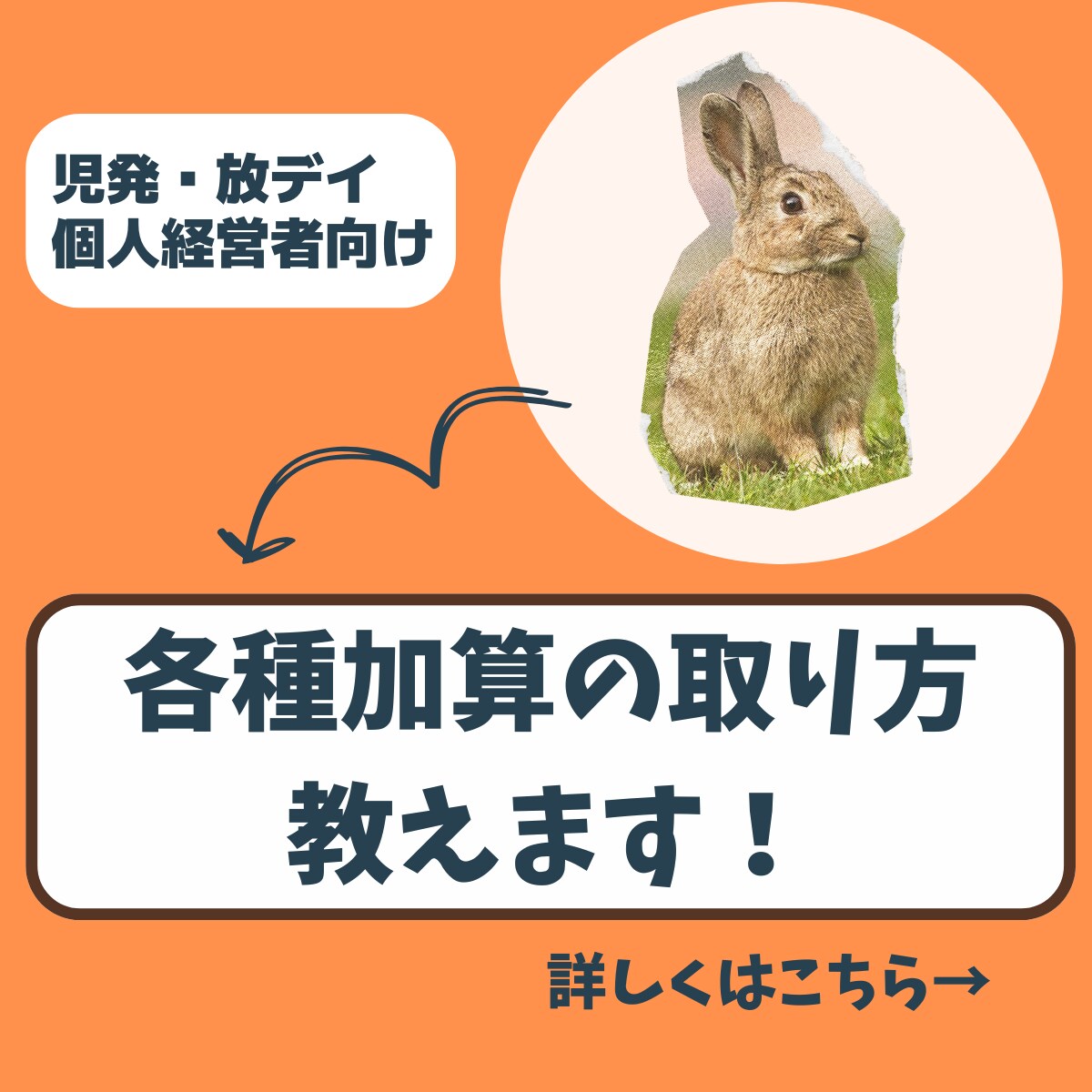 児発・放デイの加算の正しい取り方教えます 個人経営者向け・児発放デイの加算を十分に取りたい方にはぜひ！ イメージ1