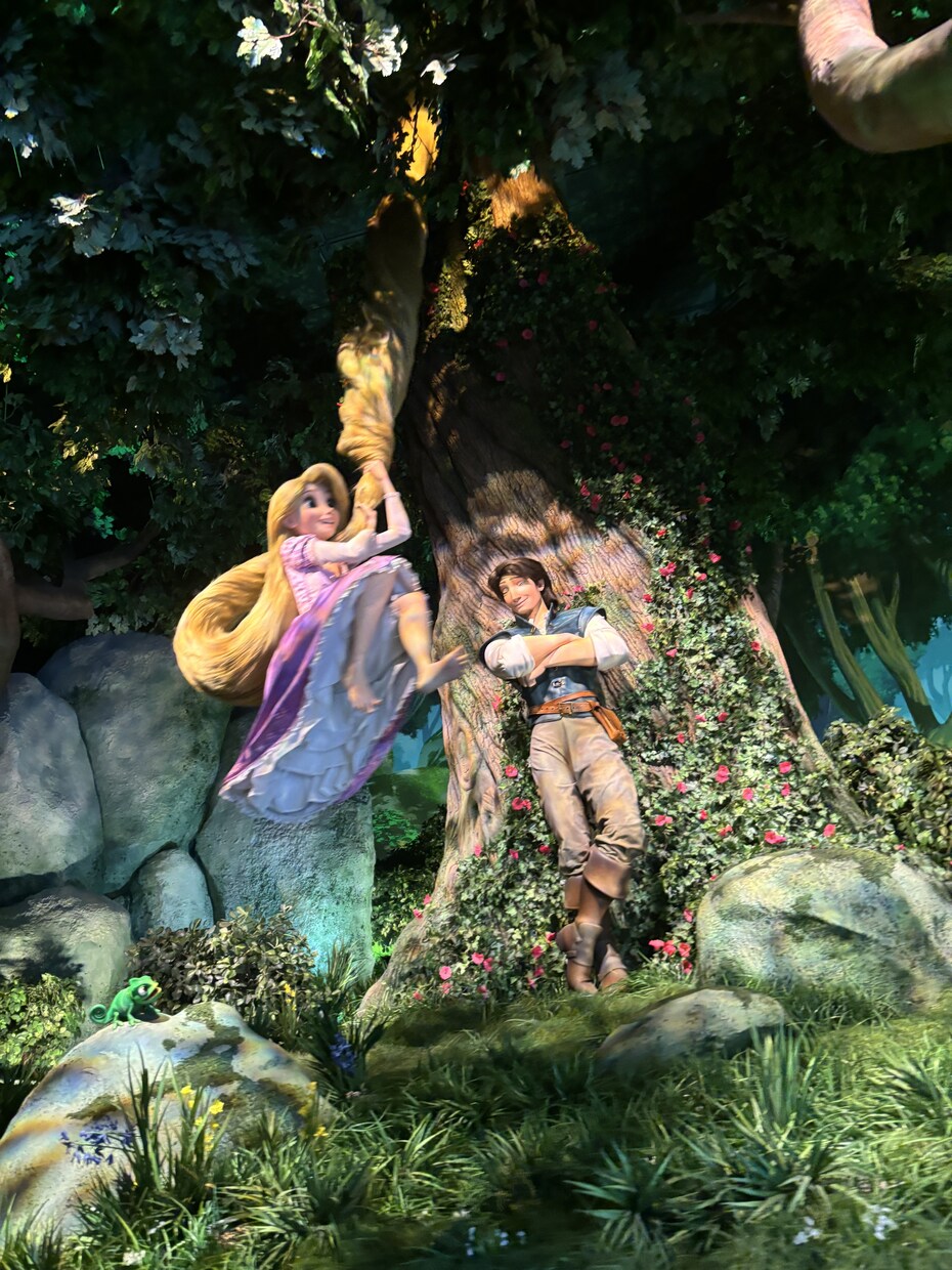 主にディズニーランド、シーの写真素材を提供致します まるで自分自身がその場に居るような一人称視点の撮影をします！ イメージ7