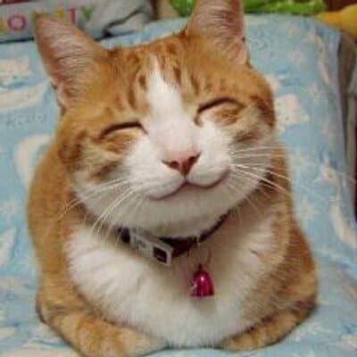 不登校・いじめ・子育ての相談承ります 元教師のカウンセラーが経験と心理学の両面からサポートします イメージ4