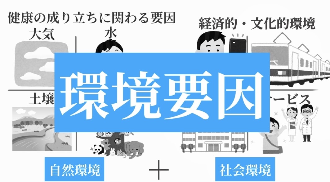 保健体育科の保健の授業、体育のプリント私が作ります あなたの授業の板書、プリント作成時間、無くします！ イメージ5