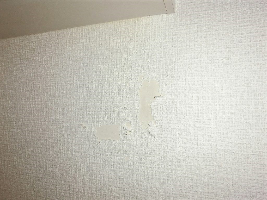 賃貸の退去費用を減額してもらう交渉例文を作成します 交渉例文は何度でも作成します。例文集もご用意しています。 イメージ3