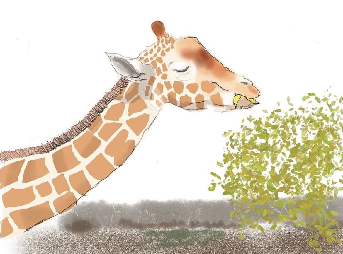 動物、人物、ペットの似顔絵作成します リアルで温かみのあるイラストを☆ イメージ1
