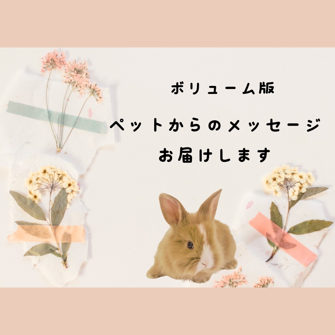 ボリューム版ペットからのメッセージをお届けします 大事なパートナー家族である動物たちのメッセージを聞きたい方へ イメージ1