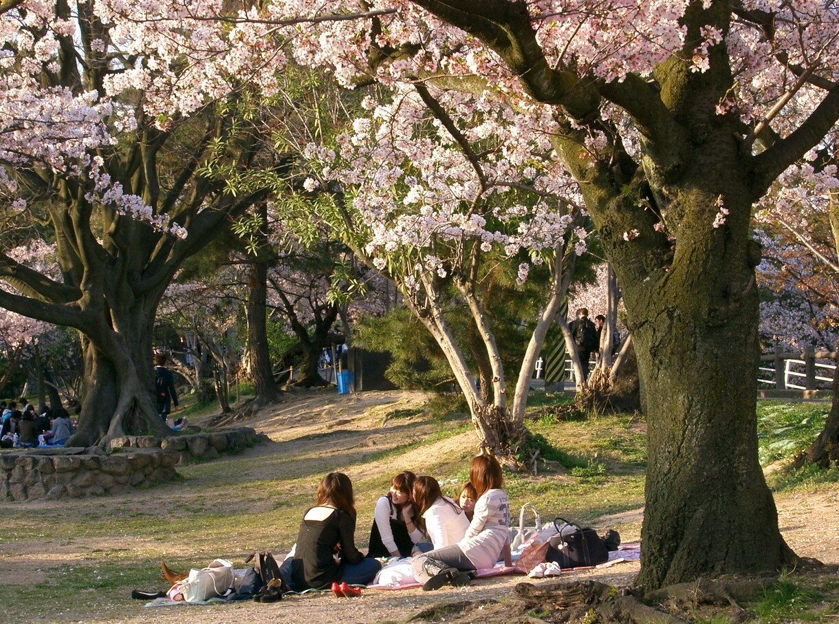 聞き上手！能力や才能を引き出す対話のコツ教えます 能力才能はわかっていないと使えない！対話で引き出すコツがある イメージ8