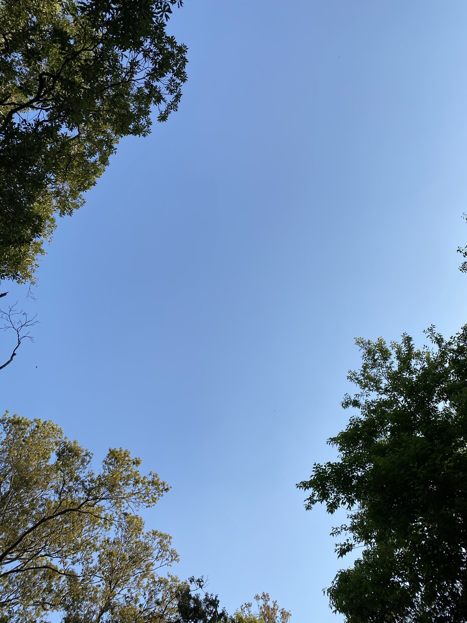 誰かとちょっとお話ししたいとき、僕が聞きます 〜5分でもいいから、ただ誰かと話したい人に〜 イメージ8