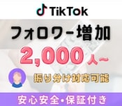 TikTokフォロワー2,000人～増やします TikTokフォロワー宣伝・拡散！フォロワー増加確実！ イメージ1