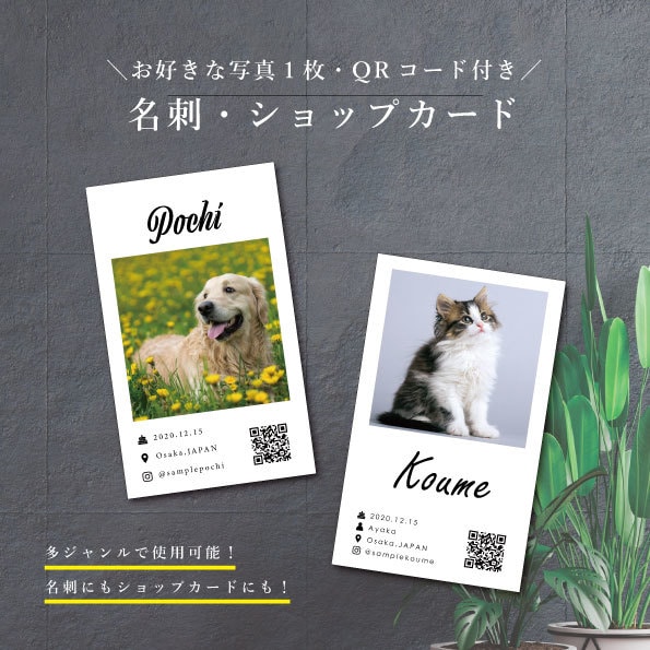 大切なペットのお名刺を作成します テンプレートを使用して可愛いペットをアピールしませんか？ イメージ3