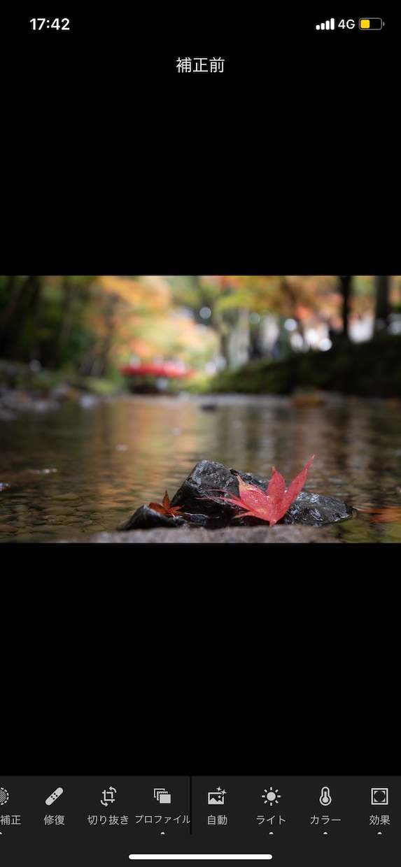 スマホやカメラの写真を美しく生まれ変わらせます 画像編集ソフトを使って写真を綺麗に仕上げます イメージ3