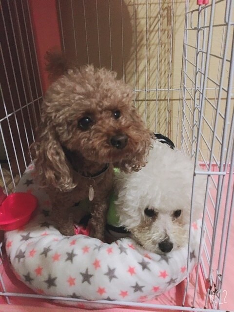 ちょっと愚痴をこぼしたい時、優しくお聞きします 辛い時苦しい時、遠慮なくお話して下さい✨ イメージ3