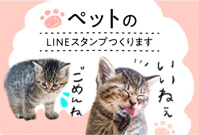 手描きでゆるかわ＊ペットのLINEスタンプ作ります ペットの写真でオリジナルラインスタンプをつくります イメージ1