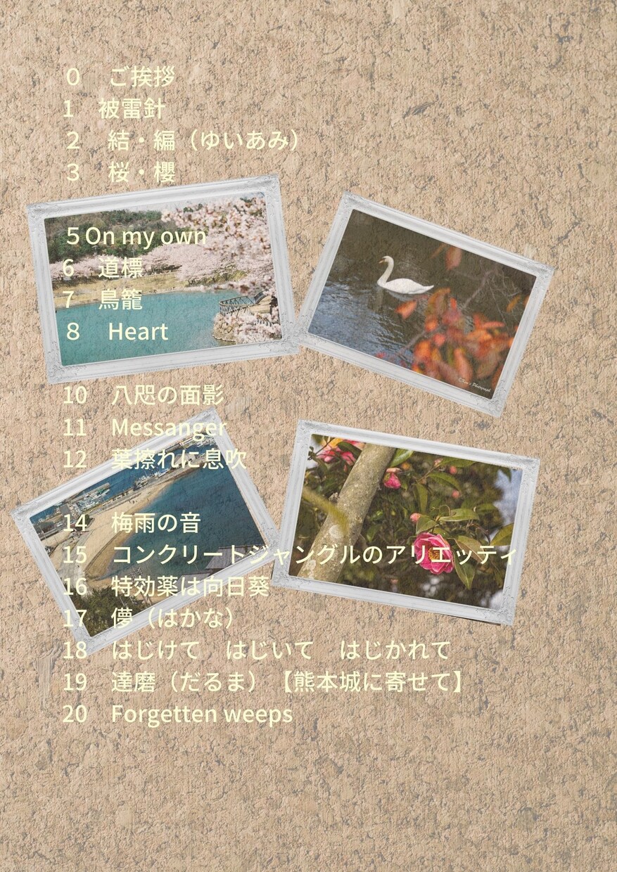 コラボ詩集 兼写真集「旅の轍」PDFでお届けします 私の総てが詰まった怒涛の114ページ！！新作、蔵出し作品続々 イメージ3