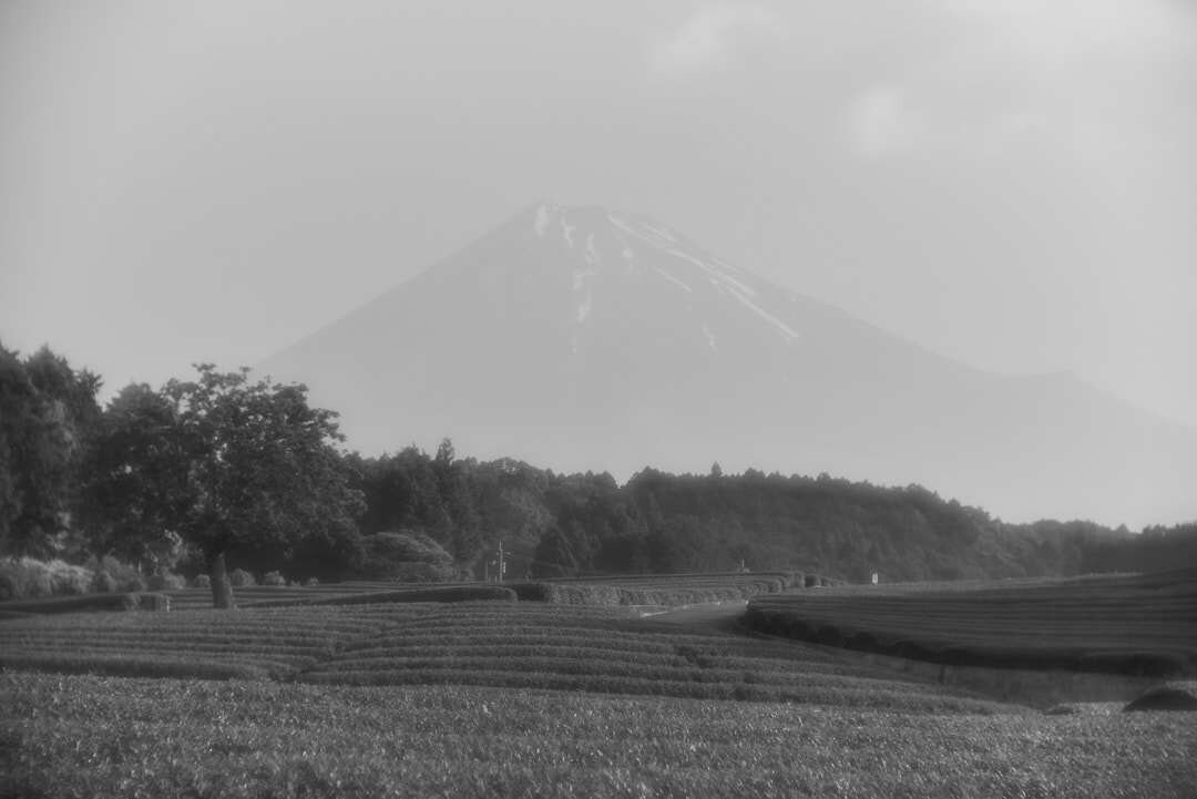 GEO・AI時代のWeb診断。本質を翻訳します 写真家の審美眼×最新GEO理論でサイトの信頼性を分析 イメージ2