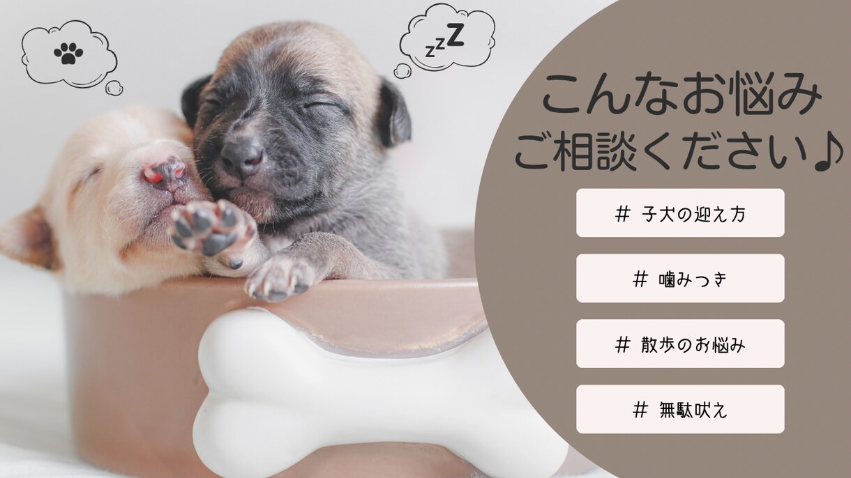 しつけ教室より気軽に♪犬のプロが電話サポートします 数多くの犬と向き合ったプロが愛犬との穏やかな暮らしを応援！ イメージ2