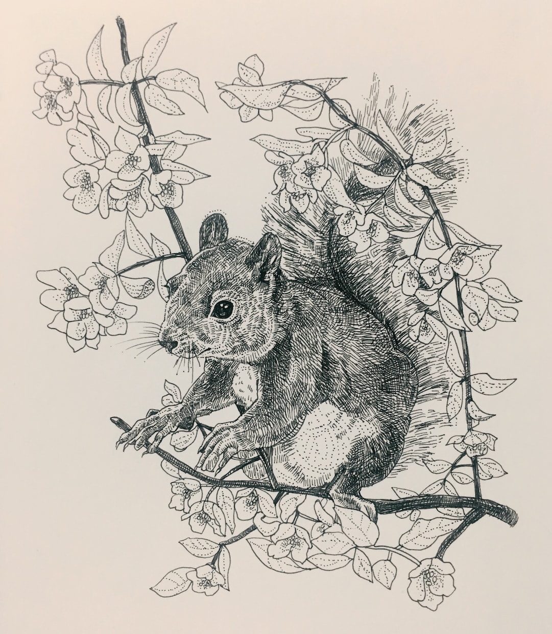 本の挿絵のような、繊細でおしゃれなイラスト描きます 動物や植物など、西洋の絵本の挿絵のような雰囲気のあるイラスト イメージ4