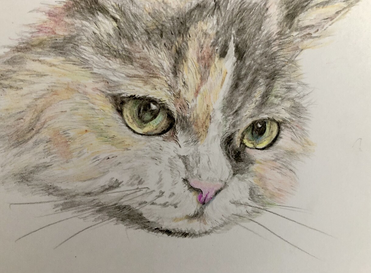 ねこ(いぬ)の似顔絵を描きます 愛する猫ちゃん(ワンちゃん)似顔絵を飾りましょう！ イメージ7