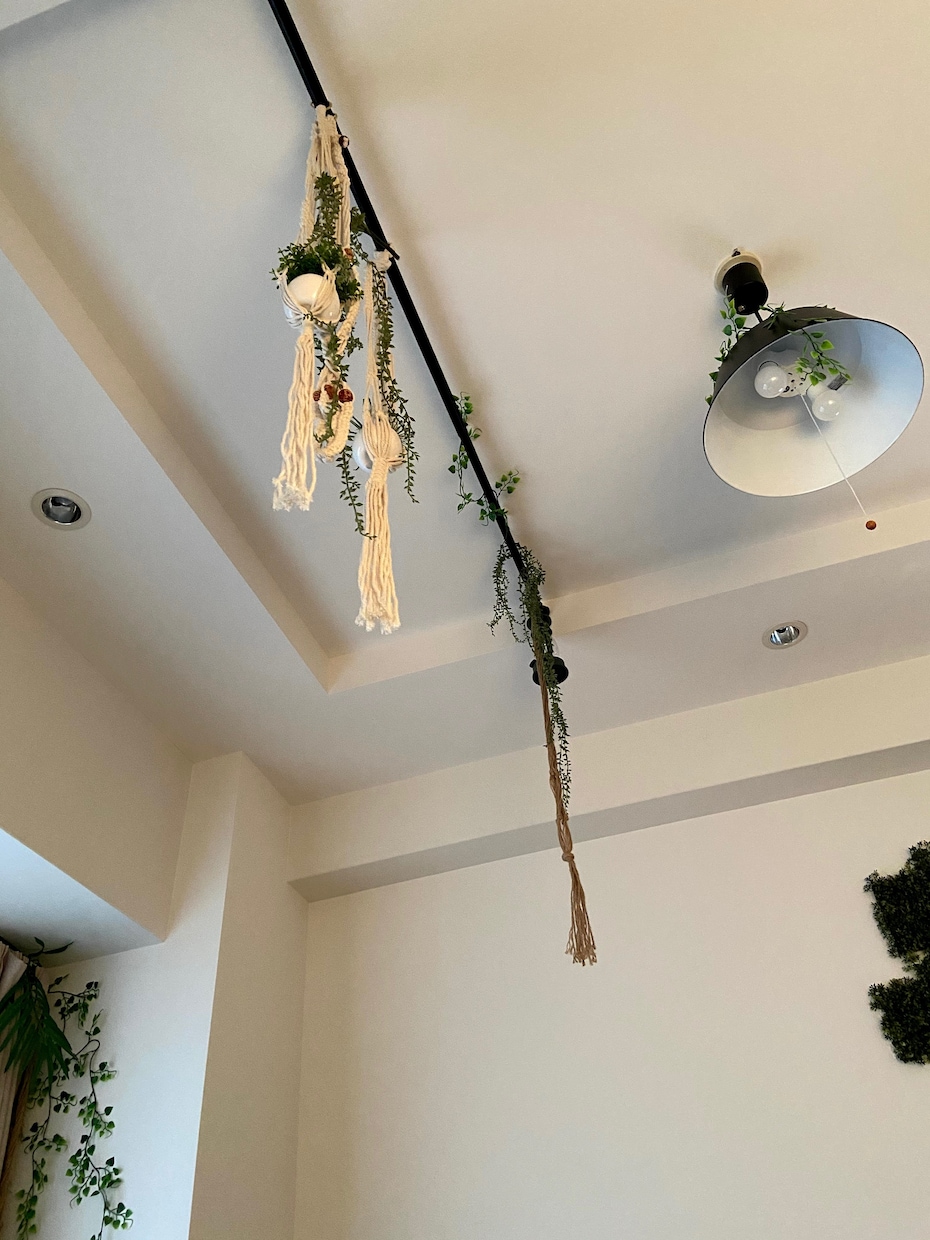 お部屋の空間コーディネートします 観葉植物、インテリア選び、空間装飾 イメージ2