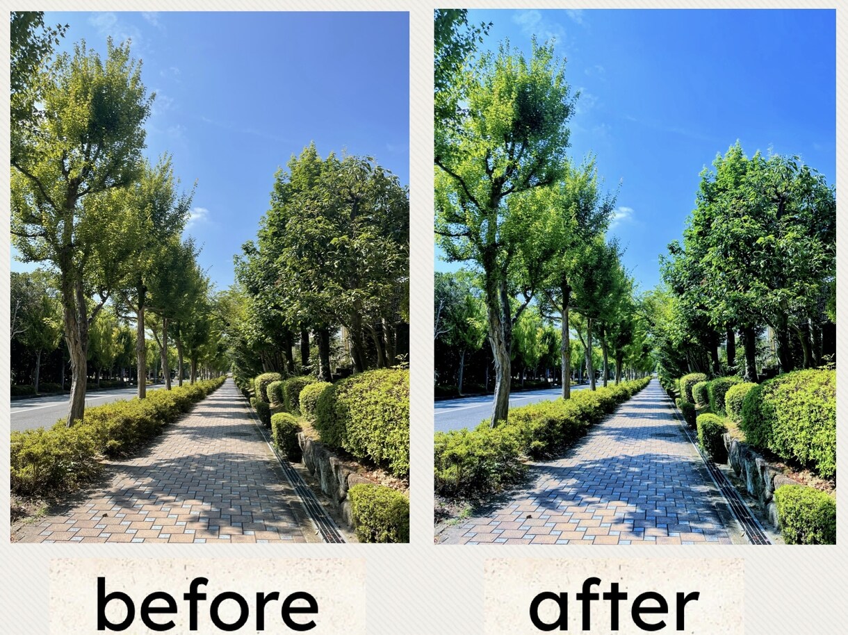 スマホ写真をSNS映えするアートに仕上げます 光と色を引き出すレタッチで、写真を作品に変えます。 イメージ5