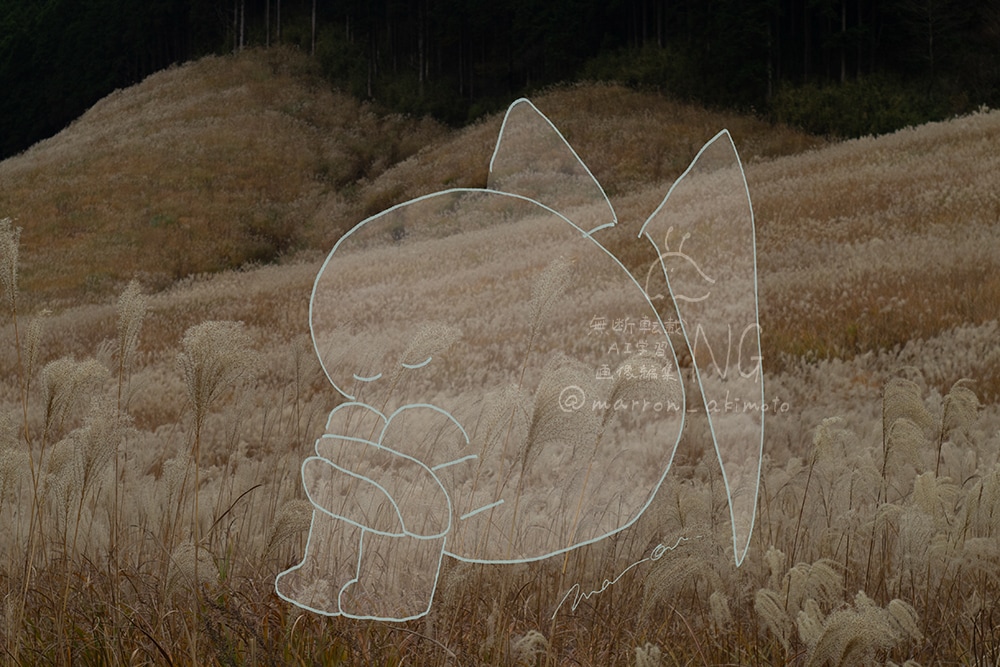 写真とイラストを組み合わせた1枚絵を制作します 静かで儚い雰囲気が好きなあなたへ イメージ4