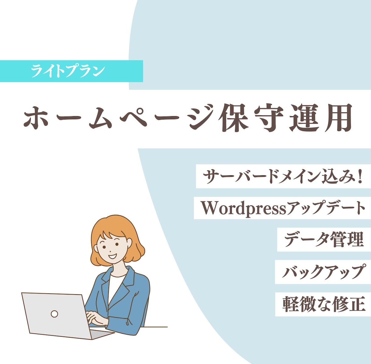 お得な【ライトプラン】12カ月分HP保守運用します サーバードメイン込みでお得！サイト管理はお任せください！ イメージ1