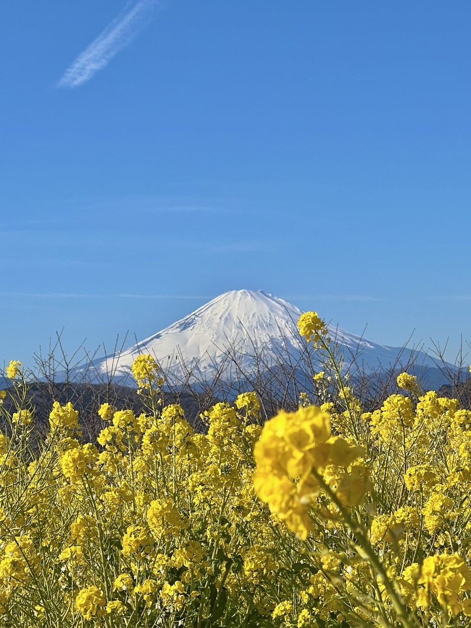 映える神奈川の旅プラン作成します 美しい景色や驚きの体験など映える旅を紹介します イメージ3