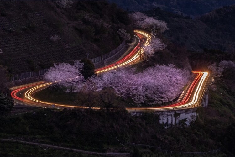 風景写真！カメラ初心者の方！写真の撮り教えます カメラ初心者カメラ入門一眼レフ イメージ2