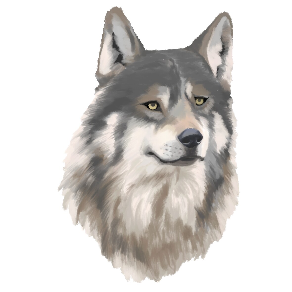 リアルな動物描きます 本の挿絵や表紙、パッケージなどに!! イメージ1
