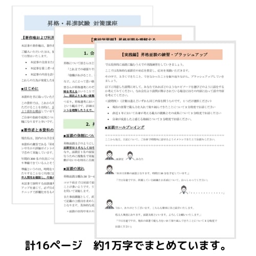 昇進・昇格面談の合格率をぐっと上げます 年間300名の昇格面談をしている現役人事がポイントを教えます イメージ2