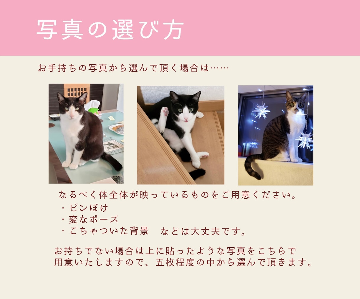 写真からぷっくり猫アイコンお描きします あなたの家の猫ちゃんがアイコンに イメージ5