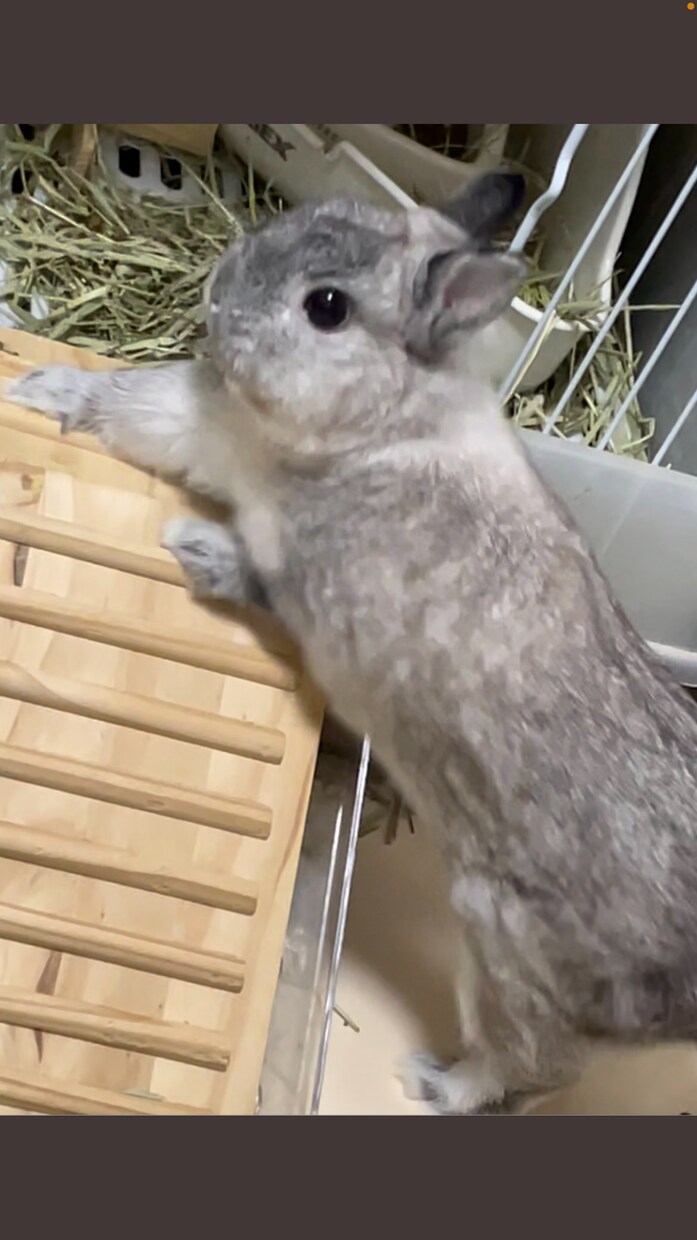 苦しんでる人はおいで、1ヶ月間話します あなたの悩みを真剣に聞きます、私におまかせあれ イメージ1