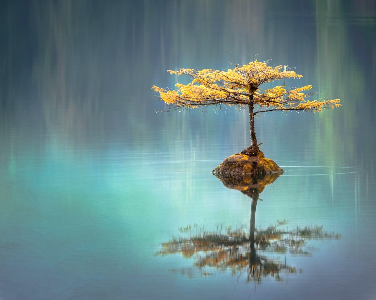 不妊治療を頑張っているあなたの不安を受け止めます １人で悩んでいませんか？不妊治療経験者の私が寄り添います✨ イメージ2