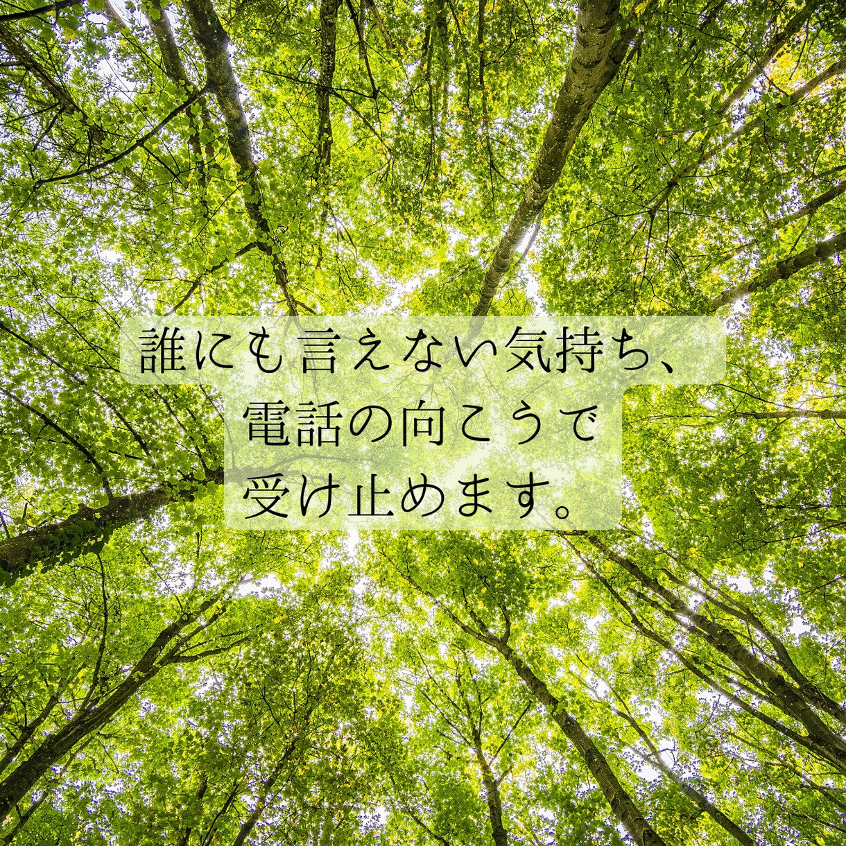 今話したい──　カウンセラーがお聴きします あなたの言葉が見えてくるまで伴走します。 イメージ2