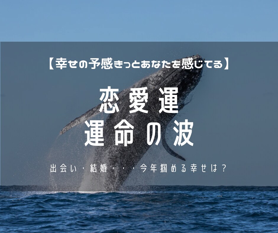 2024年の恋愛運❤️出会い☘️結婚の時期占います 大きな買い物や引越し、出会い、結婚、成功と決断の幸運日！ イメージ1
