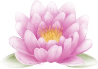 来談者中心療法によるカウンセリングなどをします 自分の問題と向き合い解決できた、強い心を持った私です イメージ1