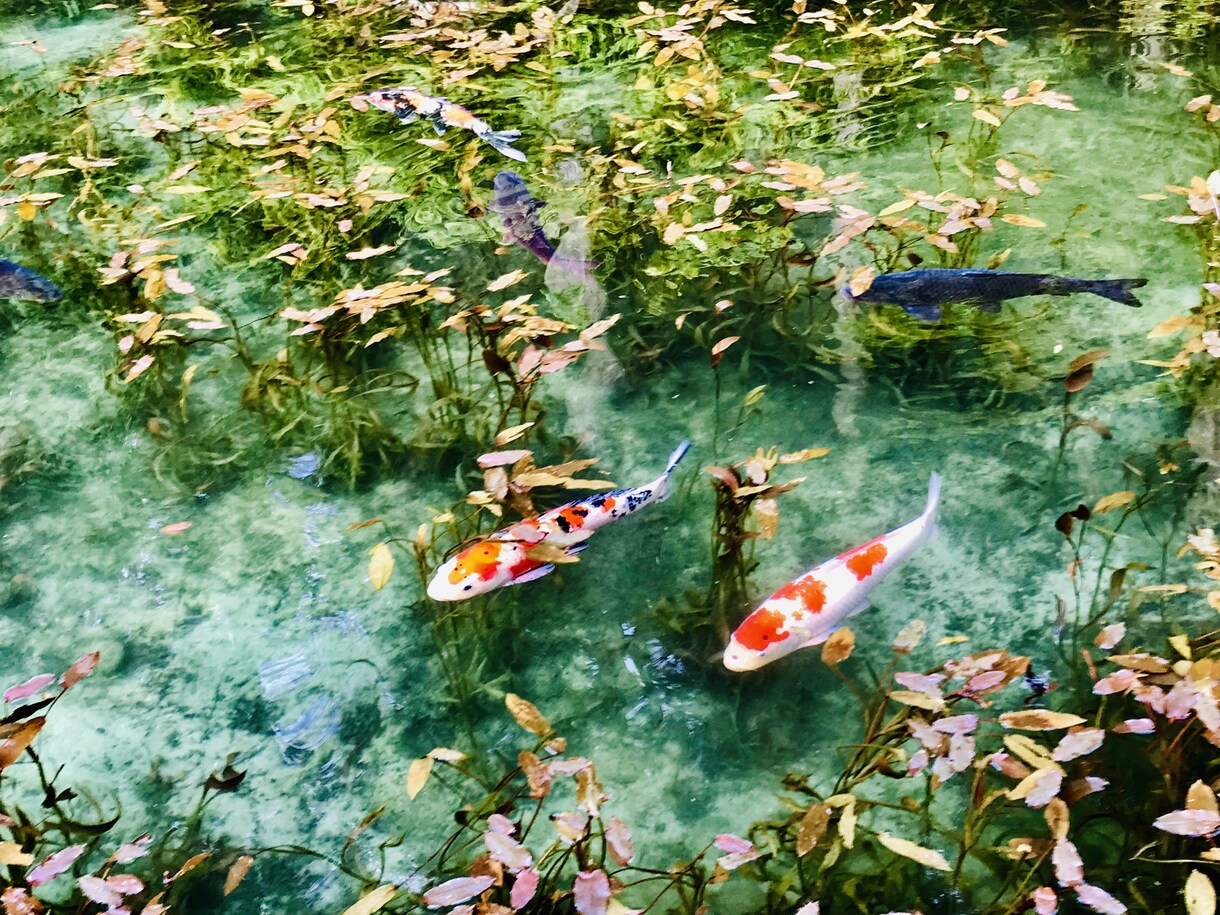 旅行・デートプランを立てるお手伝いを一緒にします 一生に一度のその日を共に味わいましょう。最高の1日を！！！ イメージ7