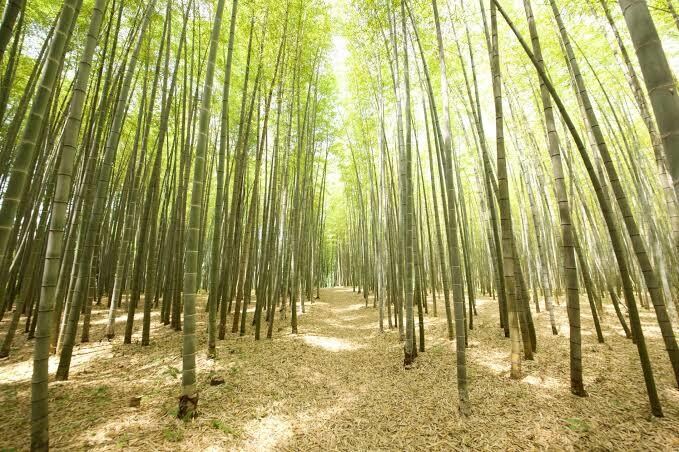 あなたの人生を「プラス」のスパイラルに導きます 現在悩んでいる事を3つお聞かせ下さい。 イメージ1