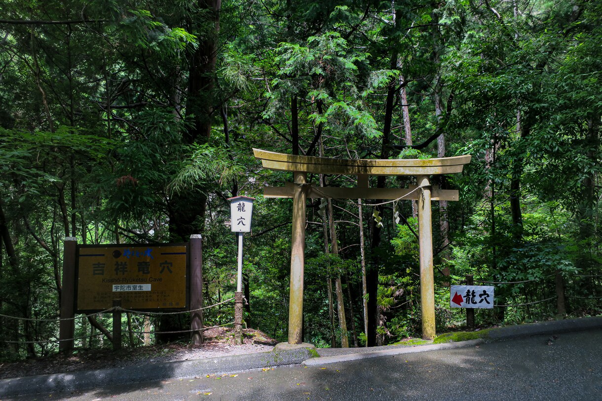 仕事運鑑定｜龍との霊的対話であなたの仕事運を視ます 仕事運上昇が、人生好転の始まりに。仕事全般の悩みを解決します イメージ6