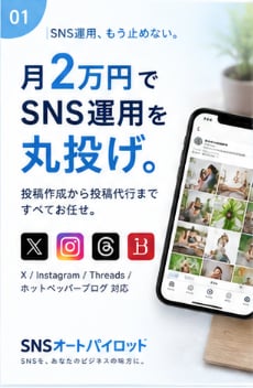 専門家が月2万円（税抜）でSNS運用代行します 年商50億企業をはじめとしたtoBの運用代行実績多数あり イメージ1