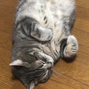愚痴聞きます 誰にも言えないような話し聞きます イメージ1