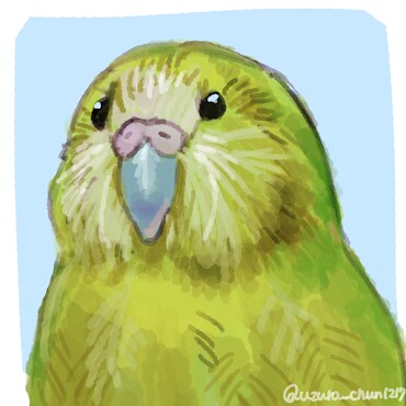 ペットの小鳥のイラスト描きます 愛鳥の似顔絵描きます！ふわふわの毛質にこだわりアリ！ イメージ4