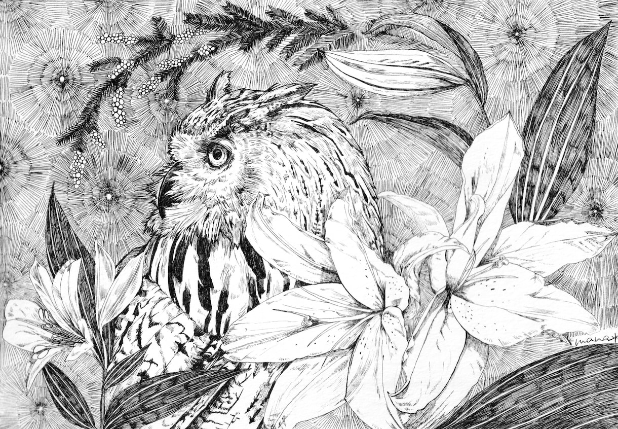 ペン画イラスト制作します 繊細なタッチのイラストを制作いたします イメージ3