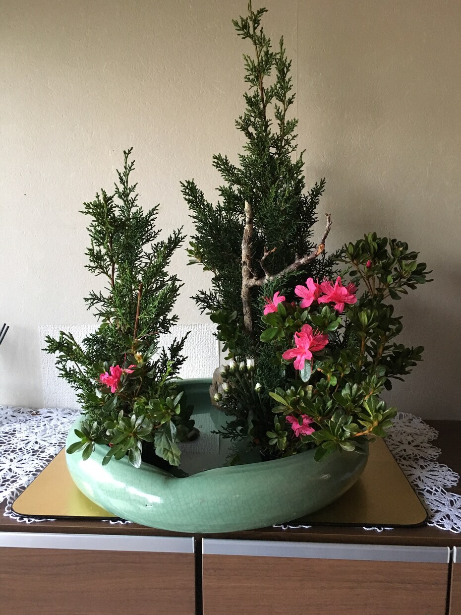 いけばな嵯峨御流の伝承花から現代花までお教えします 忙しい日常から少し離れて、花と語らい心をリフレッシュしたい方 イメージ2
