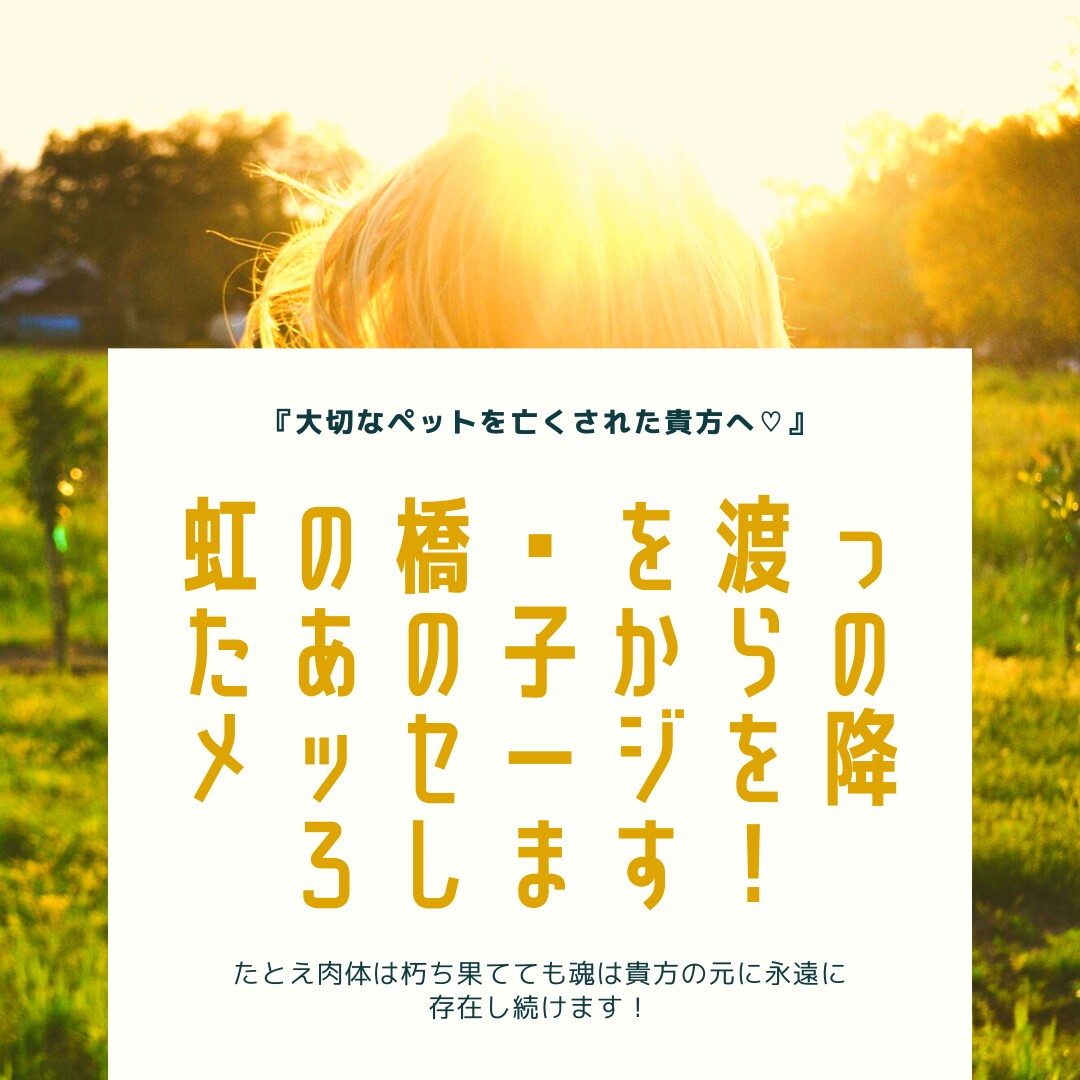 虹の橋を渡った最愛のペットと貴方をお繋ぎします たとえ肉体は朽ちても魂は貴方の元に永遠に存在し続けます！ イメージ1
