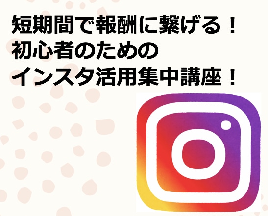 初心者から収益化するインスタ構築方法を公開します 【価格改定】現役インスタグラマー直伝！人気アカウント育成法 イメージ1