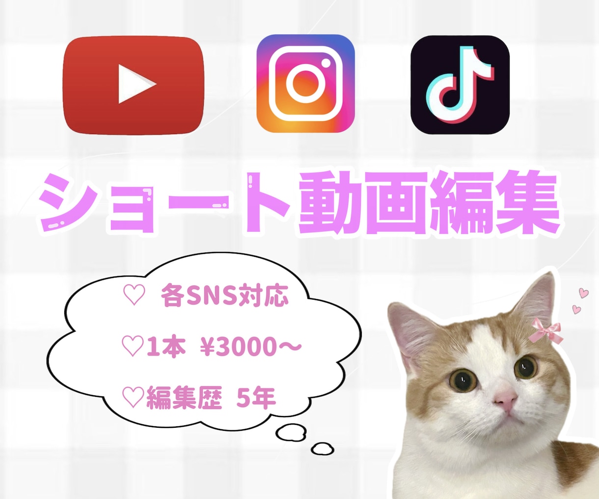 各SNS対応しております 丁寧なヒアリングとゆったり安心納期でショート動画を制作 イメージ1