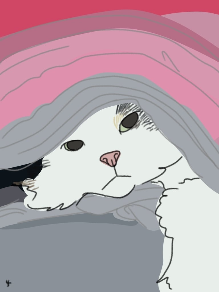 わんちゃんねこちゃんのデジタルイラスト描きます あなたのかわいいペットをシンプル線画で描かせてくださいᐝ イメージ5