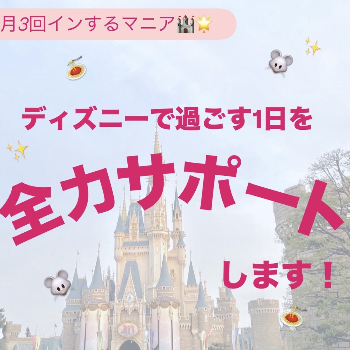 ディズニーを全力で楽しむコツを教えます サプライズや久しぶりのディズニーを、最高の1日にします！ イメージ1