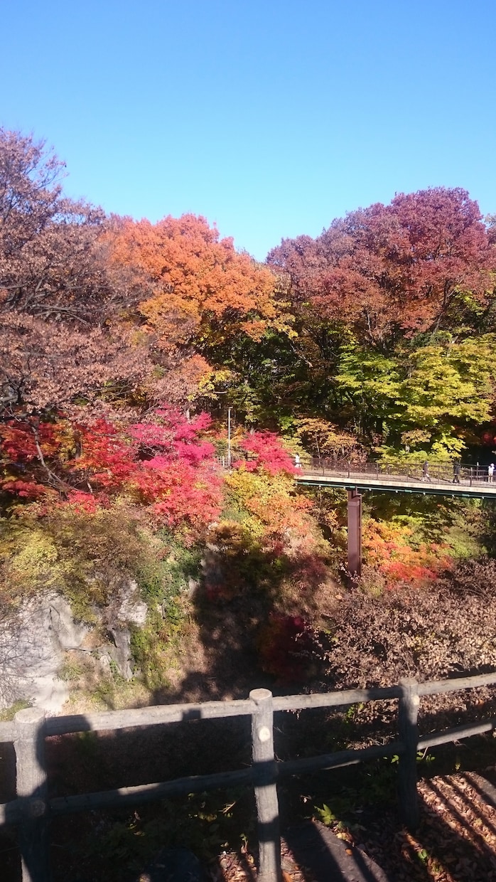 素材用に写真を提供します ご意見等ありましたらコメントください イメージ4