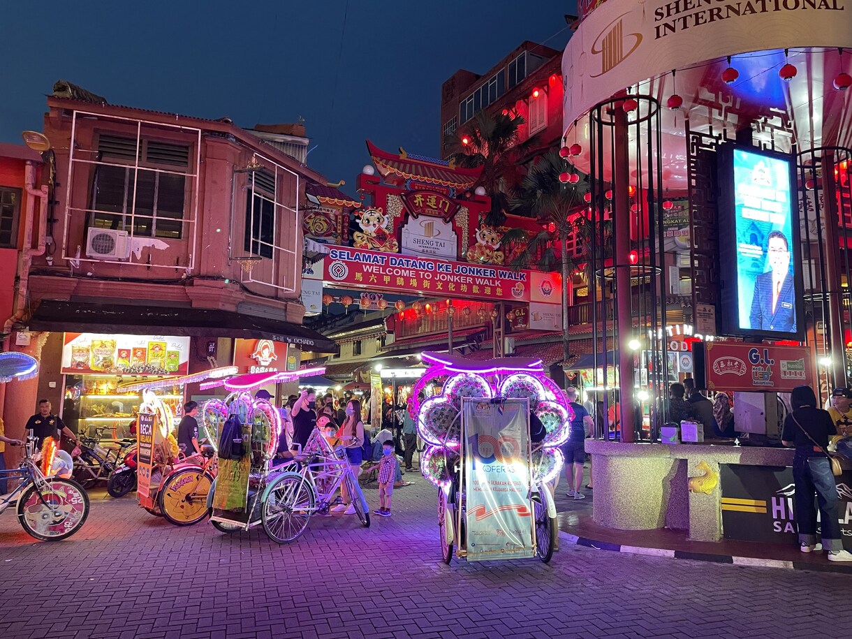 マレーシア旅行の相談に乗ります 現地に住む日本人から旅に関するお話を聞きませんか？ イメージ3